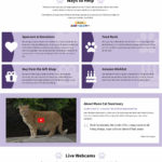 mann-cat-sanctuary